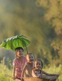 #GSNH 1114	Thiên Kim Đông Bắc Không Biết Cúi Đầu