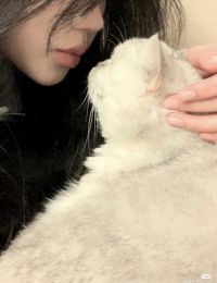 #TTTY 1146	Ba Năm Tôi Nuôi Một Con Mèo,Còn Mợ Nuôi Tôi