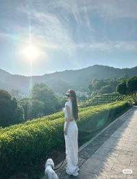 #TTTY 1196	Dịch Dung